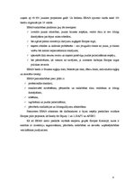 Referāts 'Biznesa eņģeļi', 8.