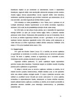 Referāts 'Biznesa eņģeļi', 11.