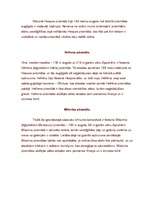 Referāts 'Par piramīdām', 4.