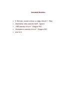 Referāts 'Par piramīdām', 7.