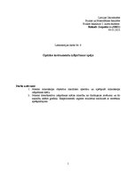 Paraugs 'Optisko instrumentu izšķiršanas spēja', 1.