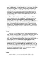 Konspekts 'Tūrisma plāns. Turcija', 5.