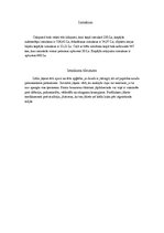 Konspekts 'Tūrisma plāns. Turcija', 6.