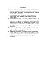 Referāts 'Mācību satura mācīšanas atšķirības sporta un veselības jomā', 9.