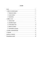 Referāts 'Inflācija Latvijā', 1.