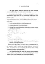 Referāts 'Inflācija Latvijā', 6.