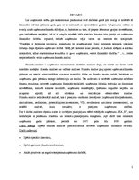 Referāts 'SIA "X" finanšu analīze', 2.