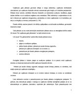 Referāts 'SIA "X" finanšu analīze', 7.