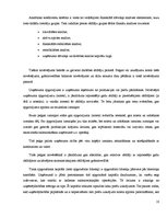 Referāts 'SIA "X" finanšu analīze', 10.