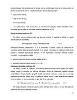 Referāts 'SIA "X" finanšu analīze', 13.