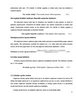 Referāts 'SIA "X" finanšu analīze', 15.