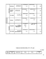 Referāts 'SIA "X" finanšu analīze', 30.