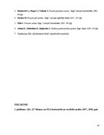 Referāts 'SIA "X" finanšu analīze', 40.