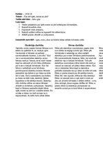 Prakses atskaite 'Aktīvā mācību un audzināšanas prakses dienasgrāmata', 4.