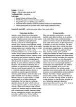 Prakses atskaite 'Aktīvā mācību un audzināšanas prakses dienasgrāmata', 9.