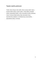 Referāts 'Mana nākotnes profesija', 10.