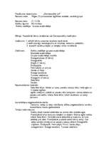 Konspekts 'Ziemassvētki pilī', 7.