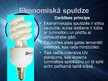 Prezentācija 'Kvēlspuldžu un ekonomisko spuldžu enerģijas patēriņa un apgaismojuma salīdzināju', 6.