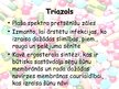 Konspekts 'Flukonazola un itrakonazola zāļu vielu citotoksicitāte un to iedarbība uz hepato', 11.