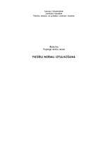 Referāts 'Tiesību normu tulkošana', 1.