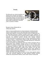 Referāts 'Diferenciālis ', 3.