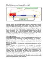 Referāts 'Diferenciālis ', 9.