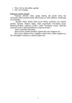 Prakses atskaite 'Aprūpes plāns ķirurģijā', 5.