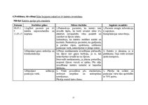 Prakses atskaite 'Aprūpes plāns ķirurģijā', 15.