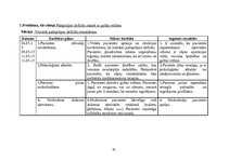 Prakses atskaite 'Aprūpes plāns ķirurģijā', 16.