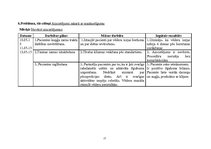 Prakses atskaite 'Aprūpes plāns ķirurģijā', 17.