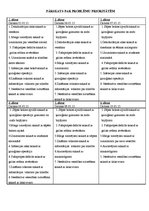 Prakses atskaite 'Aprūpes plāns ķirurģijā', 22.