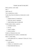 Konspekts 'Lietvārda dzimte un skaitlis. Latviešu valodas stundas plāns', 1.