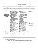 Konspekts 'Lietvārda dzimte un skaitlis. Latviešu valodas stundas plāns', 2.