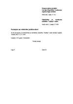 Paraugs 'Sabiedrība ar ierobežotu atbildību', 3.