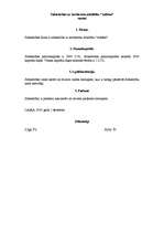 Paraugs 'Sabiedrība ar ierobežotu atbildību', 13.