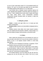 Diplomdarbs 'Biškopības attīstības perspektīvas', 13.