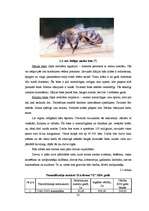 Diplomdarbs 'Biškopības attīstības perspektīvas', 22.