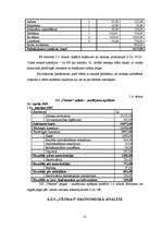 Referāts 'Z/S „Vēsmas” ražošanas plāns un attīstības iespējas', 21.