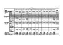 Referāts 'Z/S „Vēsmas” ražošanas plāns un attīstības iespējas', 26.