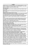 Konspekts 'Pasaules vēsture 16.gs. vidus - 17.gadsimts', 11.