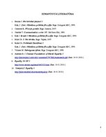 Eseja 'Taisnīgums: vienlīdzības problēmas sociālfilosofiskie aspekti', 8.