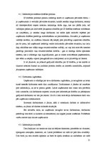 Referāts 'Informācijas sistēmu drošība organizācijā', 21.