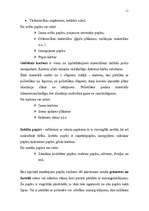 Referāts 'Ko darīt ar izlietoto iepakojumu?', 11.