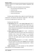 Referāts 'Personāla motivācijas politika Aizsardzības ministrijā', 5.