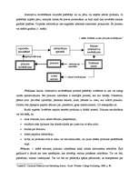 Konspekts 'Pirkšanas lēmuma pieņemšanas posmi un firmu mārketinga aktivitāšu ietekme', 2.