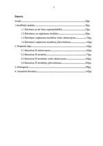 Referāts 'Ražošanas uzņēmuma struktūras pilnveidošana', 3.