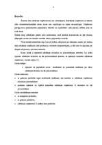 Referāts 'Ražošanas uzņēmuma struktūras pilnveidošana', 4.