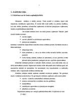 Referāts 'Ražošanas uzņēmuma struktūras pilnveidošana', 5.