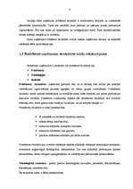 Referāts 'Ražošanas uzņēmuma struktūras pilnveidošana', 12.