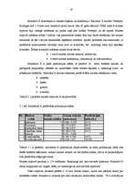 Referāts 'Ražošanas uzņēmuma struktūras pilnveidošana', 16.